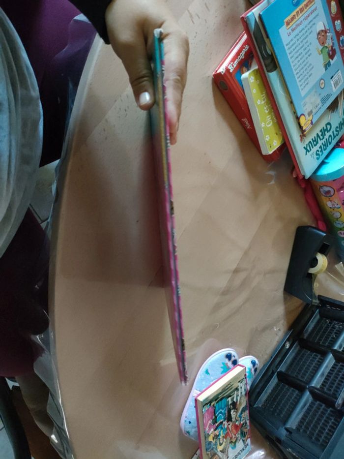 Livre format BD cherche et trouve LOL - photo numéro 3