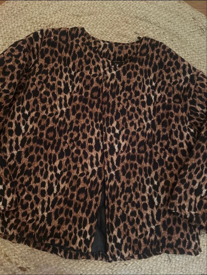 Veste - photo numéro 5