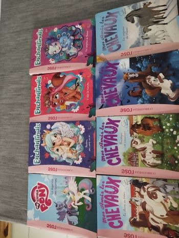 Livre  mes amis les chevaux