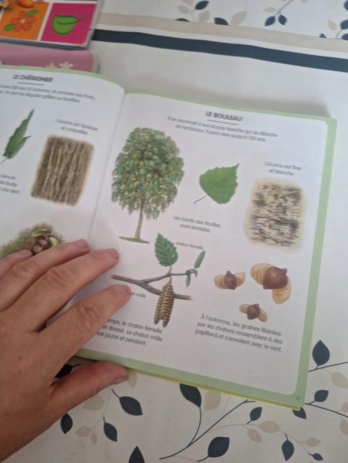 #Livre image de la forêt pages interactive - photo numéro 3