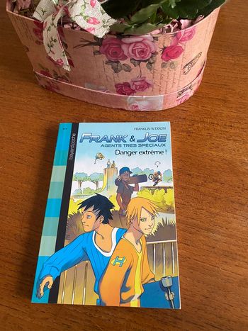 Frank et Joe agents très spéciaux danger extrême!