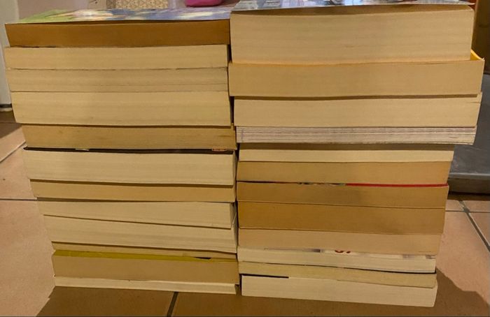 Lot mystère 25 livres poche
