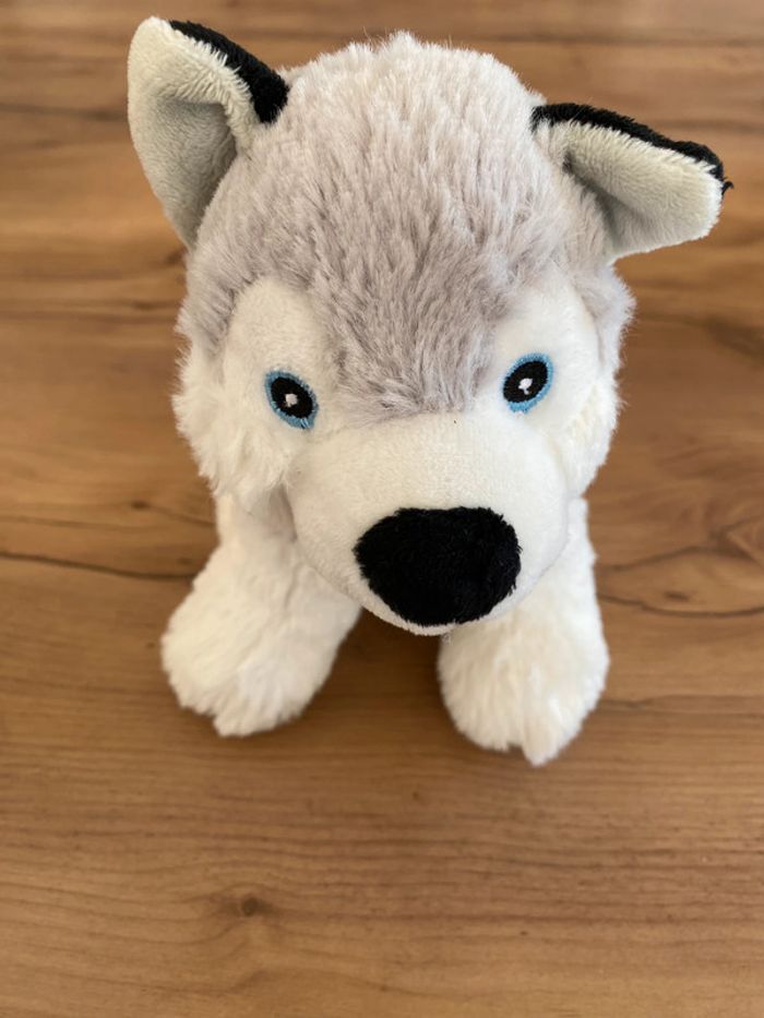 Peluche chien husky - photo numéro 4