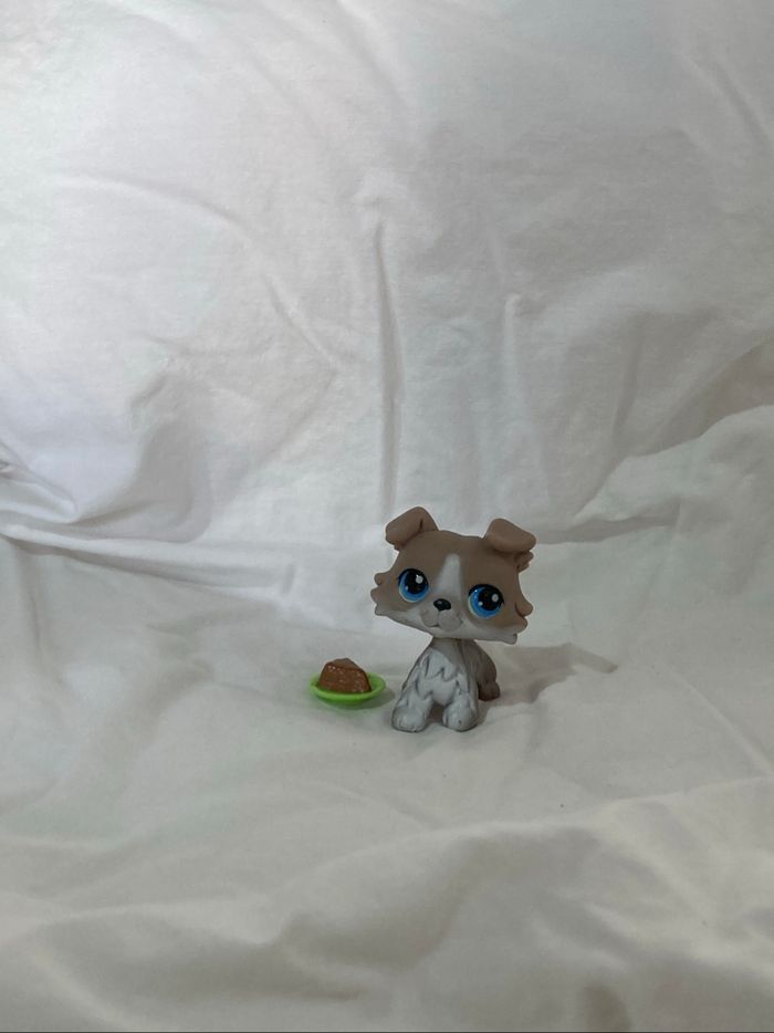 lps colley - photo numéro 2