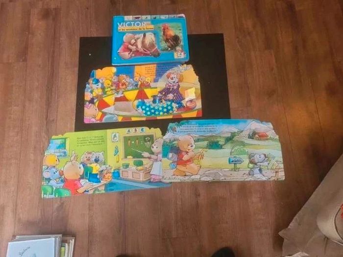 Lot livre victor - photo numéro 9