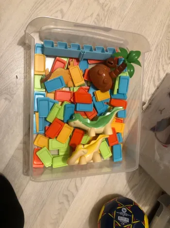 domino express junior