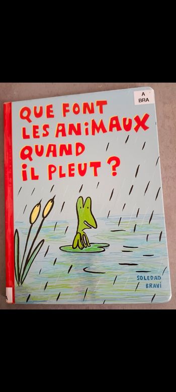 Livre Que font les animaux quand il pleut ?