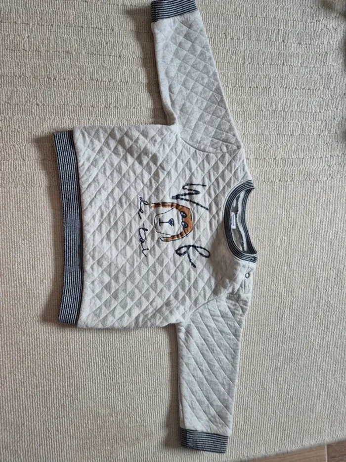 Sweat chien 24 mois