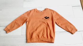 Vêtement garçon pull motif chien football H&M 6 ans