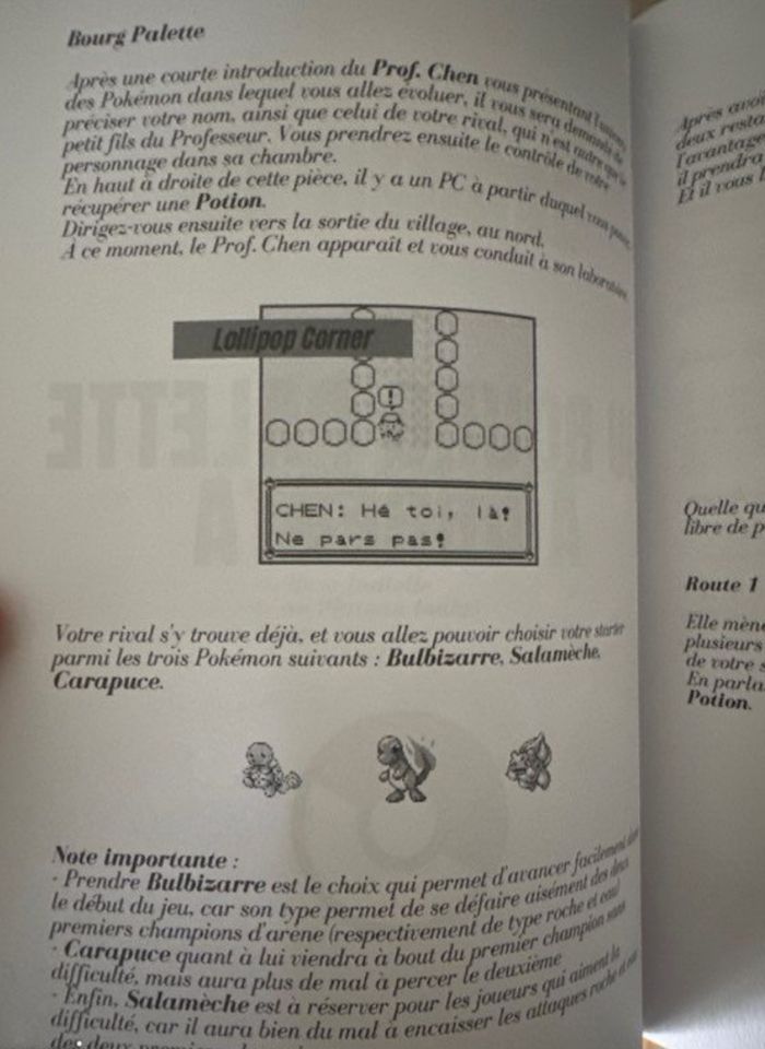 Guide Pokémon Rouge Bleu et Jaune (Rare) - photo numéro 3