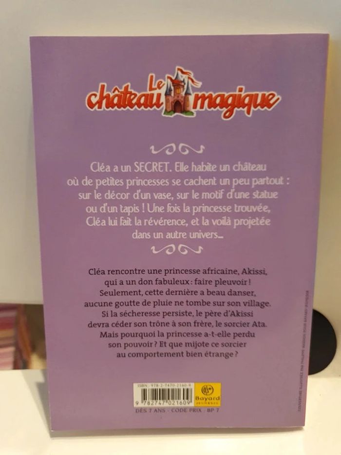 Princesse Akissi et le mystérieux sorcier - photo numéro 2