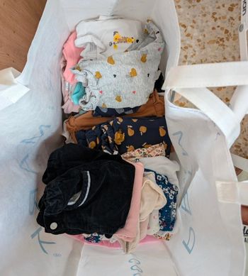 Lot de vêtements bébé fille de 6 a 24 mois