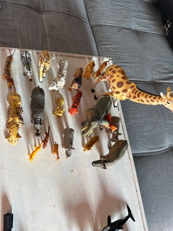 Animaux de la savane 