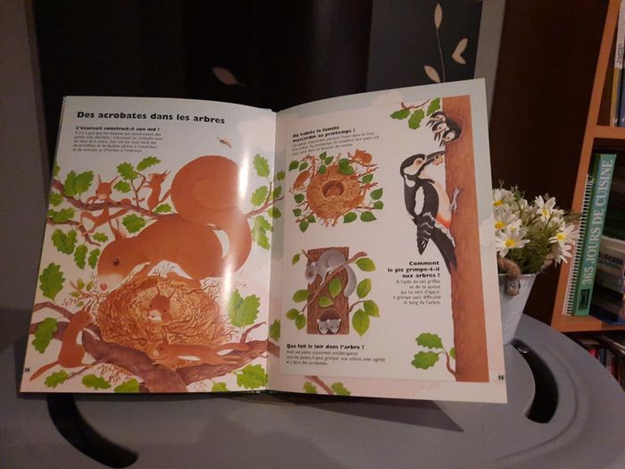 Livre questions raiponses- La vie des animaux au printemps - photo numéro 4