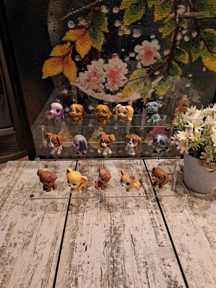 Petshop chien au choix vente à l unité - photo numéro 3