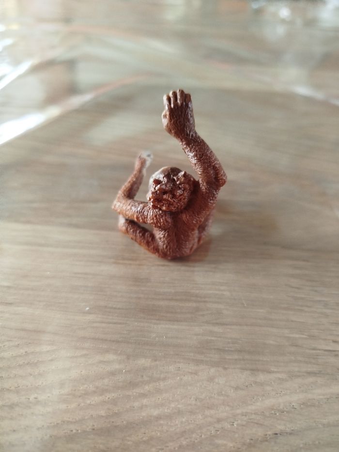 Bébé Orang outan - photo numéro 3