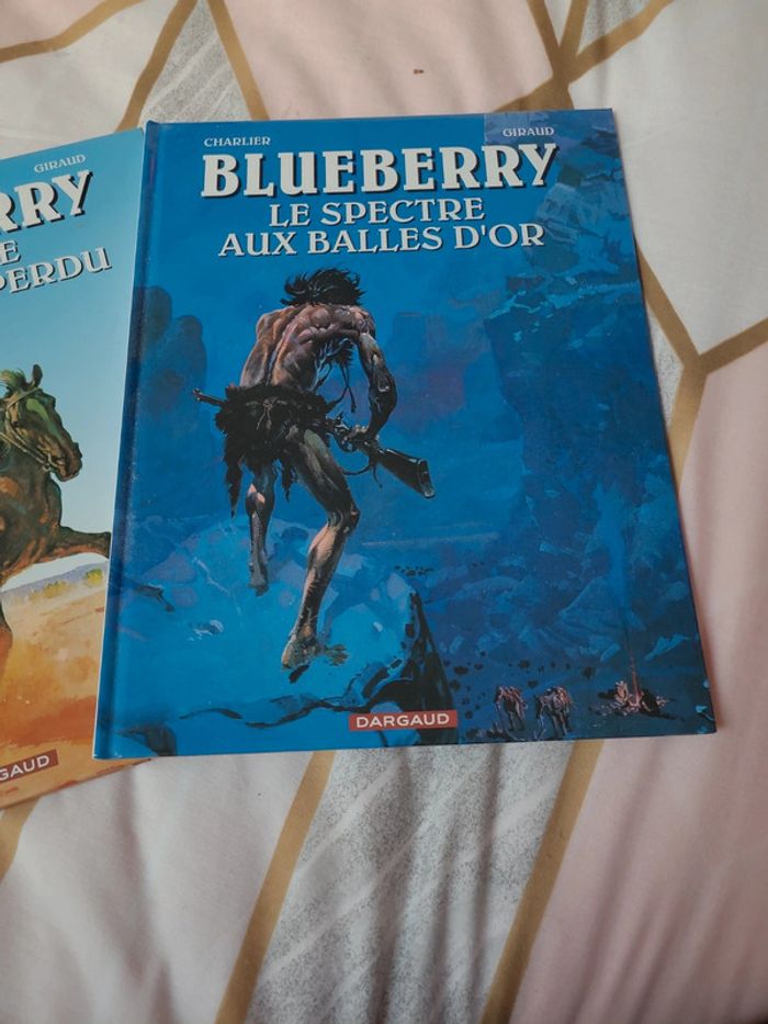 2 bd blueberry - photo numéro 2