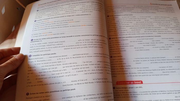 Cahier Brevet 🔸 Français 3eme - photo numéro 9