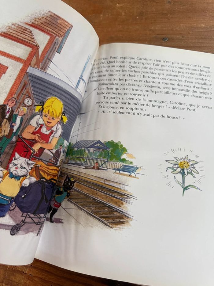 Moyen 1 - Livre édition limitée reliure rouge Caroline dans les Alpages Pierre Probst bd - photo numéro 8
