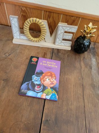 Livre: Un gorille à ma fenêtre
