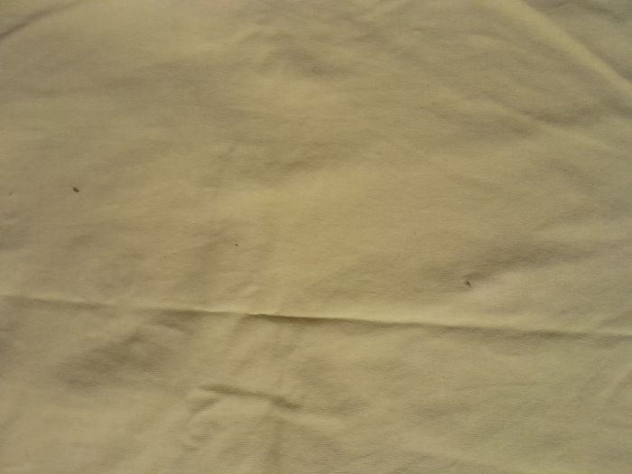 Tee-shirt - photo numéro 5