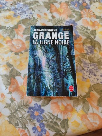 La ligne noire de Jean-Christophe Grange
