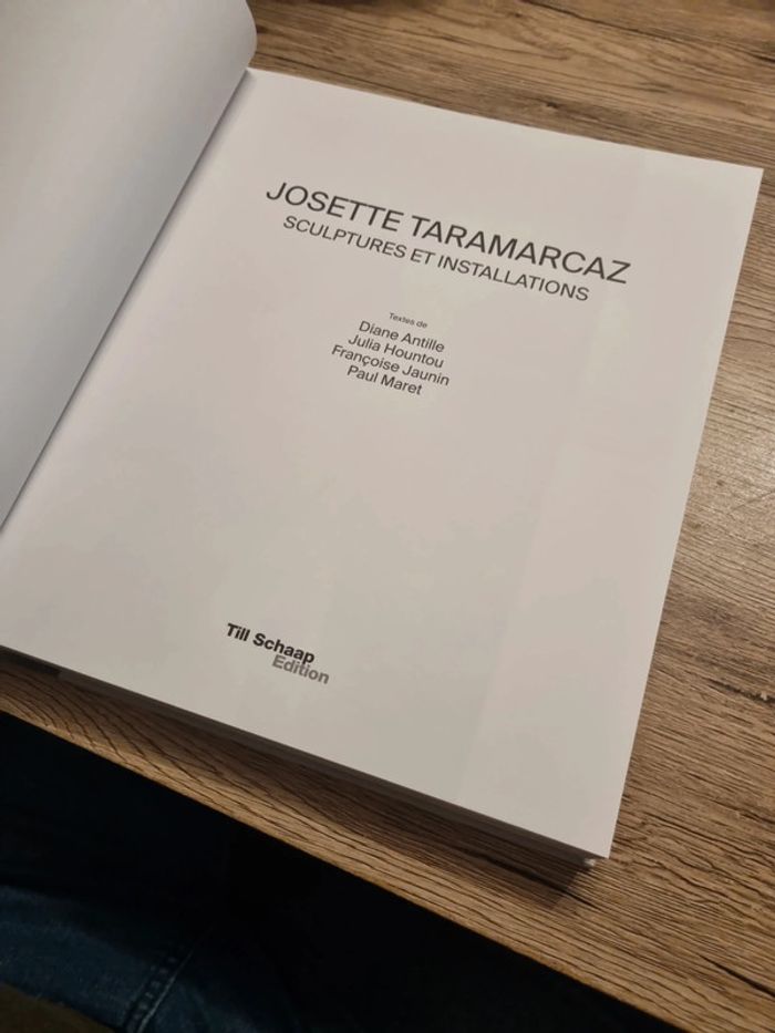 livre josette taramarcaz sculptures et installations - photo numéro 6
