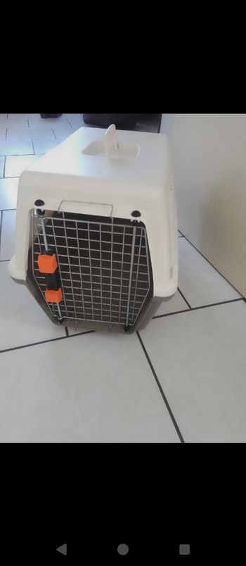 Caisse de transport pour chat