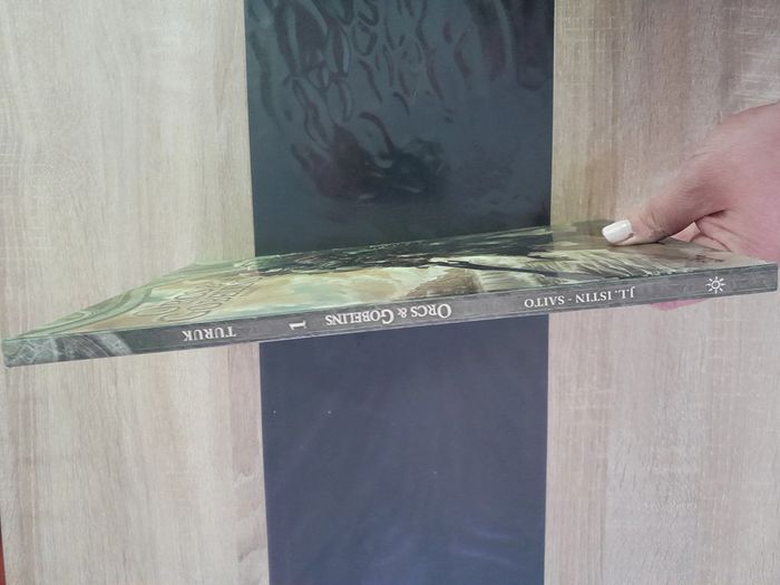 BD tome 1 Orcs & gobelins - Turuk - photo numéro 11