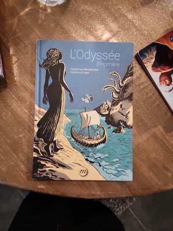 Livre : L'odyssée d'Homère