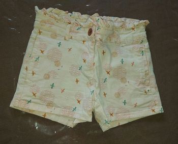 Short oiseau