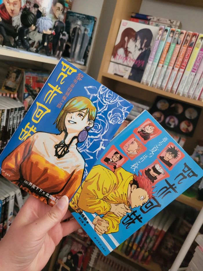 Intégrale en 2 tomes du roman du manga jujutsu kaisen - photo numéro 2