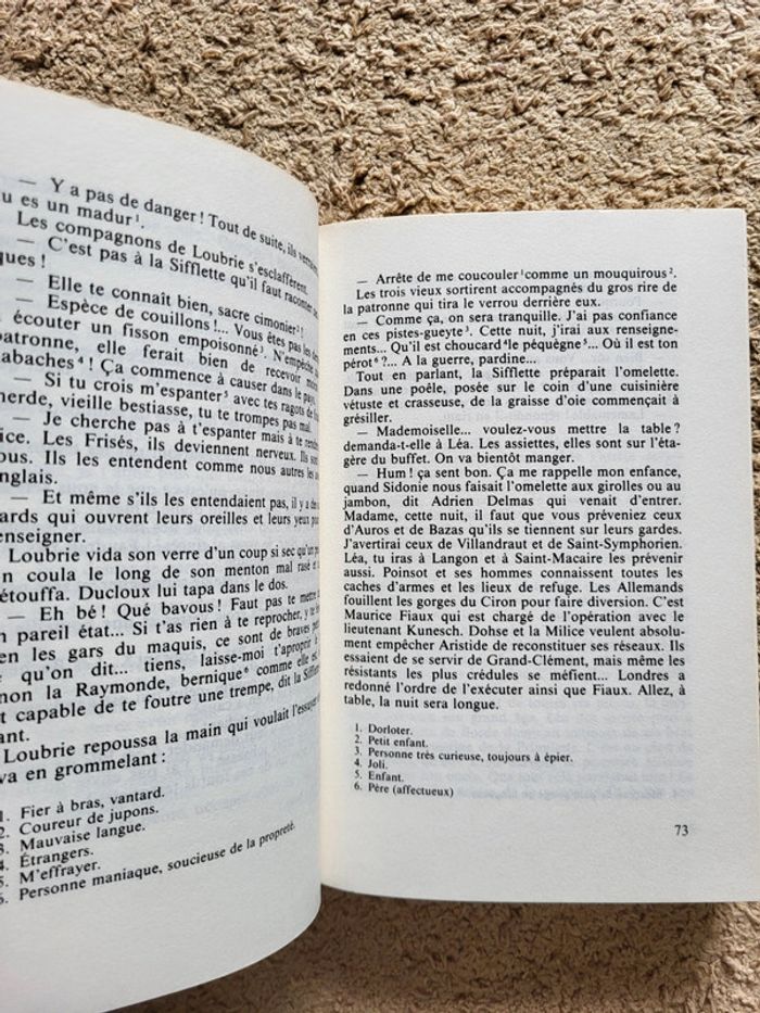 Lot 3 livres de Régine Deforges : les 3 tomes de la Saga La Bicyclette bleue - photo numéro 20