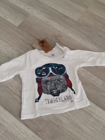 Tee shirt Timberland