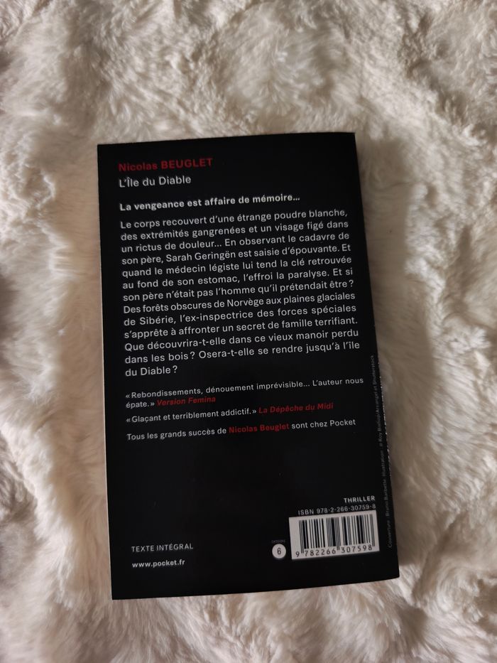 L'île du diable Nicolas Beuglet - photo numéro 3