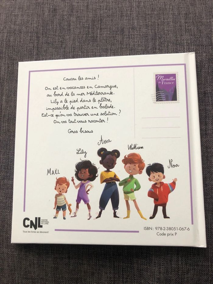 Livre une carriole dans la Camargue - photo numéro 2