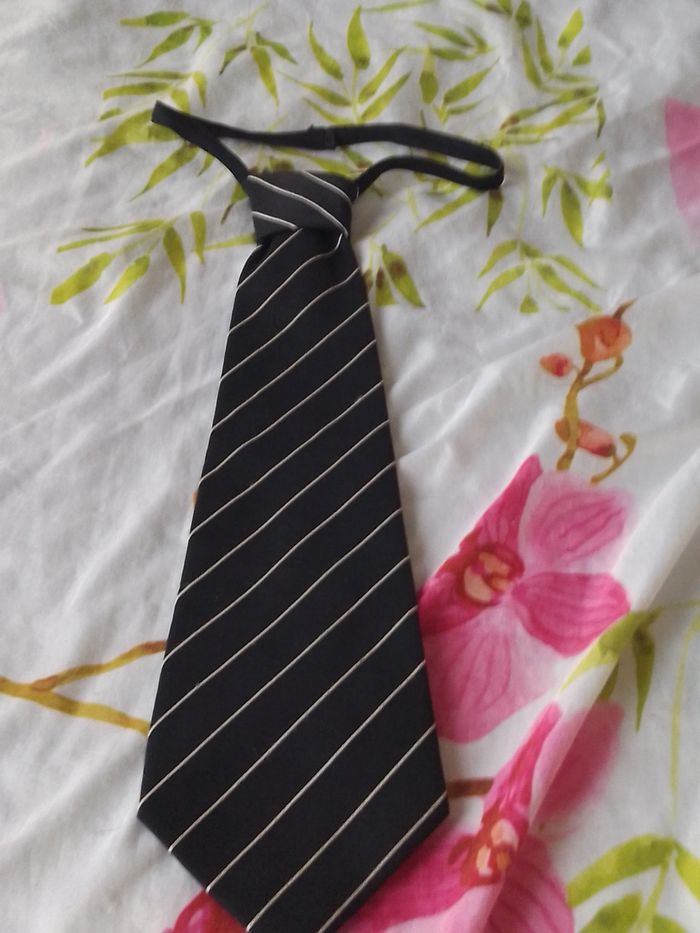 Cravate - photo numéro 2