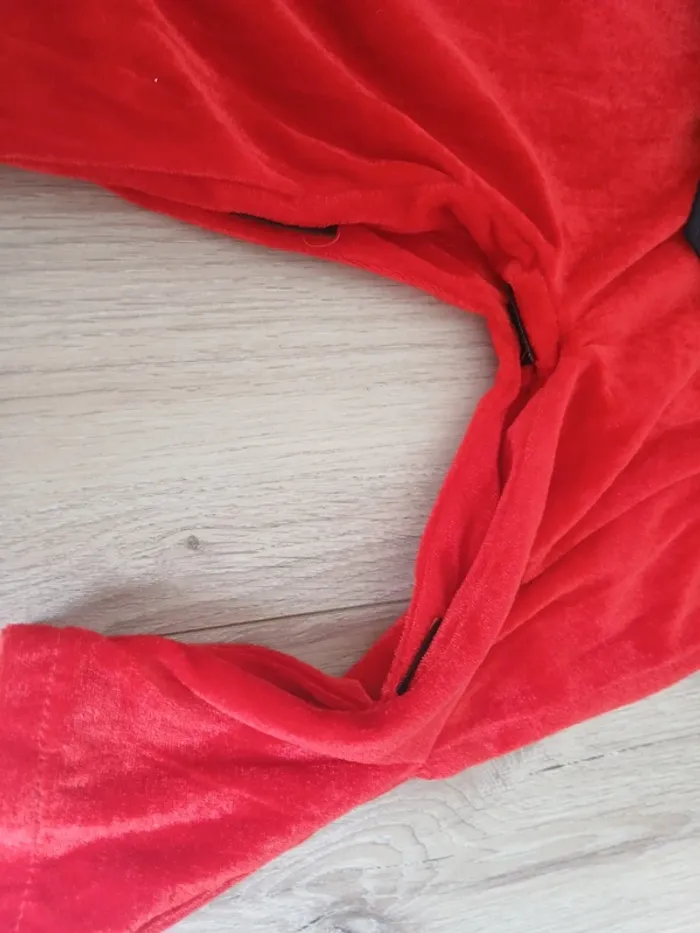 Deguisement diablotin - photo numéro 4