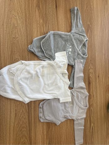 Body