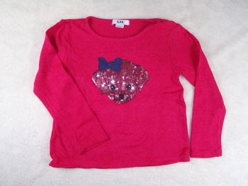 Pull chiot 5 ans