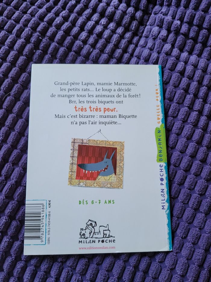 livre le loup surprise (2e) - photo numéro 4