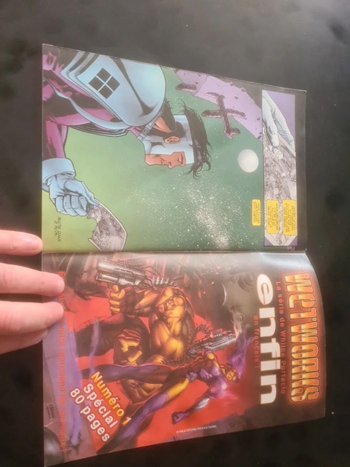 Wild cats covert action teams - photo numéro 3