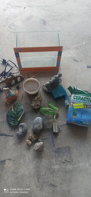 Aquarium avec accessoires