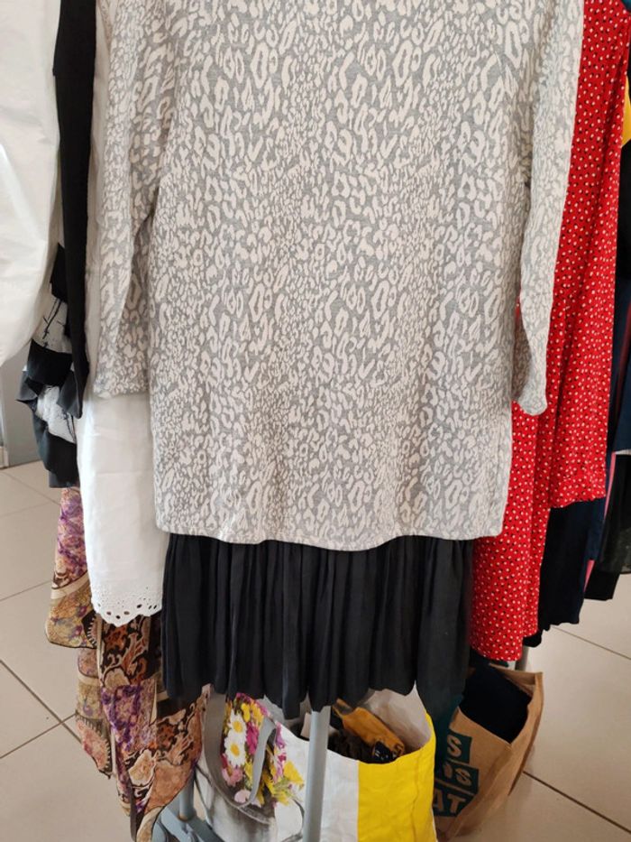 Robe léopard - photo numéro 3