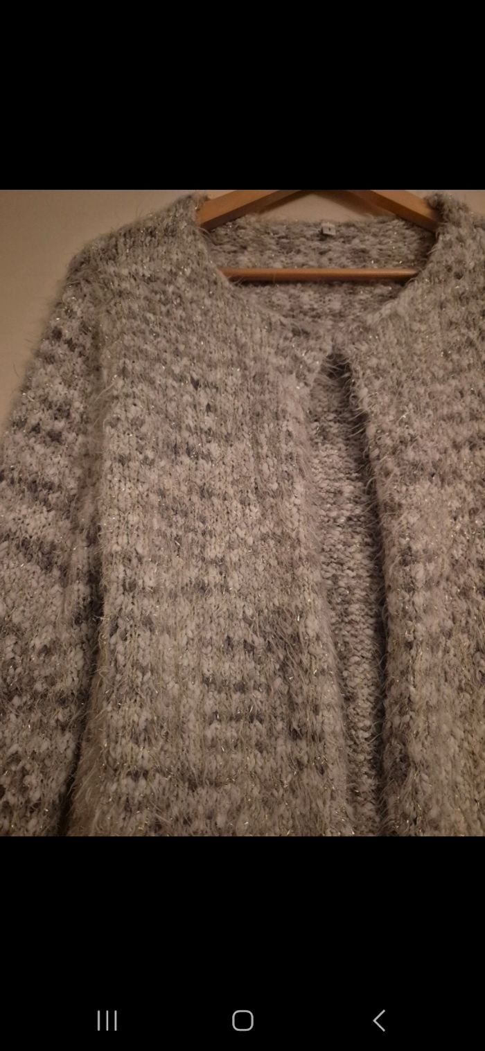 Petit gilet - photo numéro 3