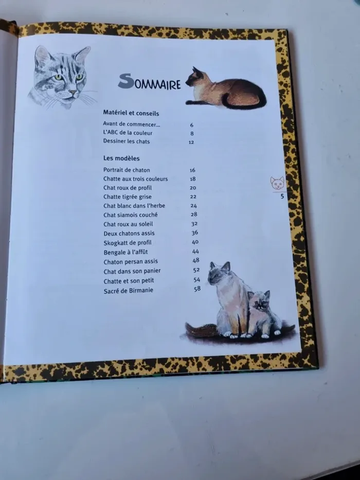 Livre "dessiner et peindre les chats" - photo numéro 3