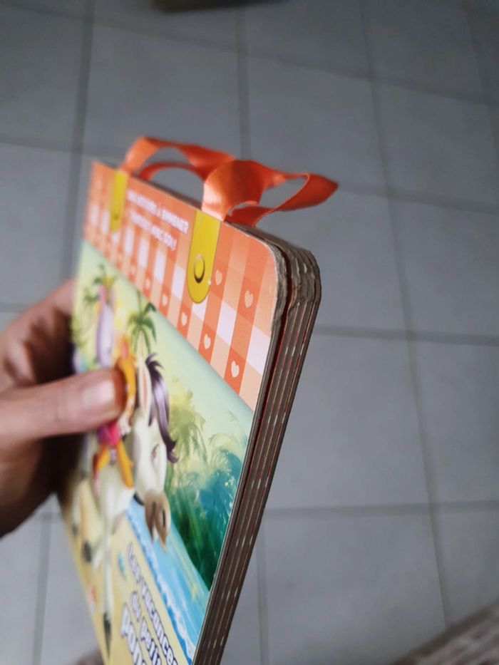 Petit livre enfants les vacances du petit poney VIN - photo numéro 6