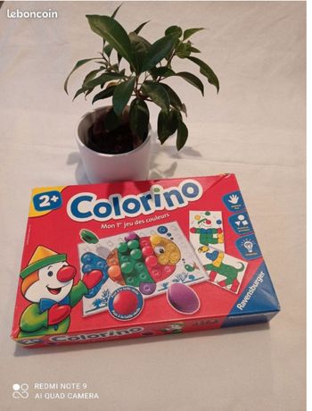 Colorino