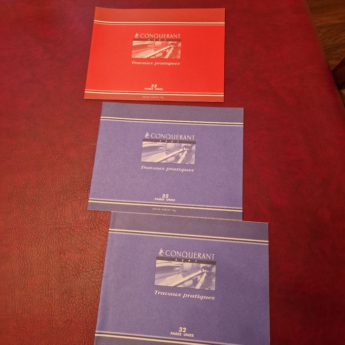 Lot 3 cahiers dessin/ travaux pratiques