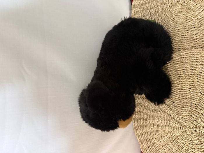 Wild Republic Peluche - Ours Noir - photo numéro 3